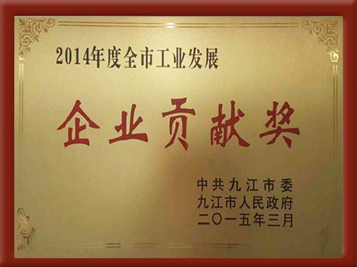 Enterprise Contribution Award (2014 the city